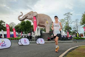 BIB: 
                            <button type="button" onclick="openModal(26528725)" class="btn btn-primary btn-sm float-right btn-popup" data-toggle="modal" data-target=".modal-high-quality">
                        <i class="fas fa-shopping-cart"></i> Add to Cart
                    </button>
                                            <button type="button" onclick="isThisMe(26528725, true)" class="btn btn-success btn-sm float-right btn-popup btn-isme hidden" data-toggle="tooltip" data-placement="bottom" title="นี่คือรูปของคุณใช่ไหม คลิกที่นี่เพื่อเอาเข้าอัลบั้ม">
                        <i class="fas fa-plus"></i> Add to album
                    </button>
                    <button type="button" onclick="isThisMe(26528725, false)" class="btn btn-warning btn-sm float-right btn-popup btn-isnotme hidden">
                        <i class="fas fa-ban"></i> Remove from album
                    </button>